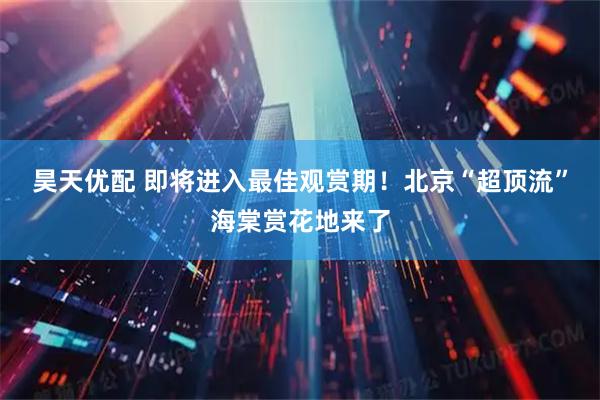 昊天优配 即将进入最佳观赏期！北京“超顶流”海棠赏花地来了